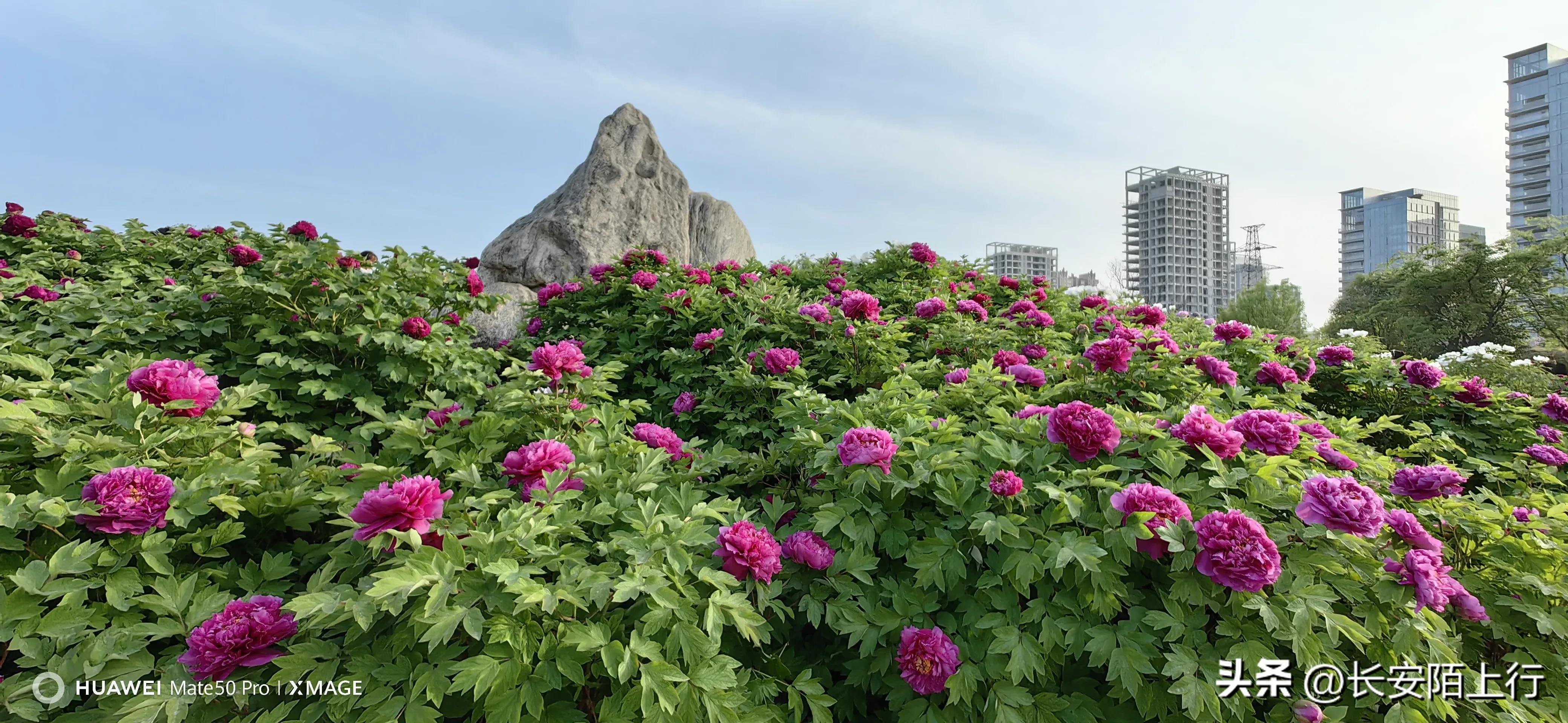 西安植物园新区在哪里,西安新植物园开放了吗