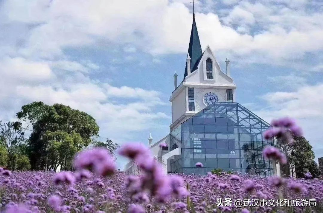 武汉夏天凉快的游玩地方,武汉凉快又免费的景点