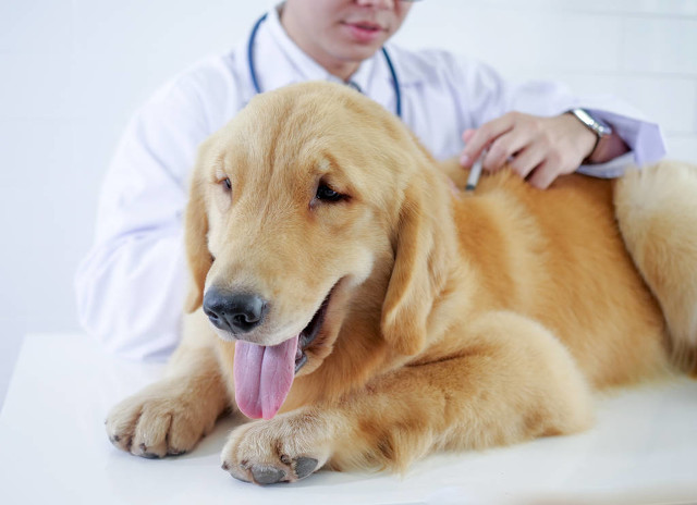有哪些不起眼但很挣钱的小生意,有哪些不起眼的小生意赚钱特别多