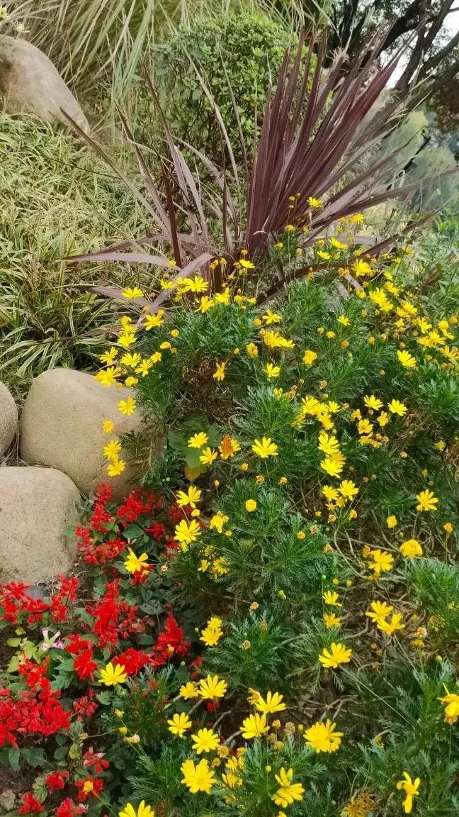 苏州东园园林地址,苏州东园园林简介