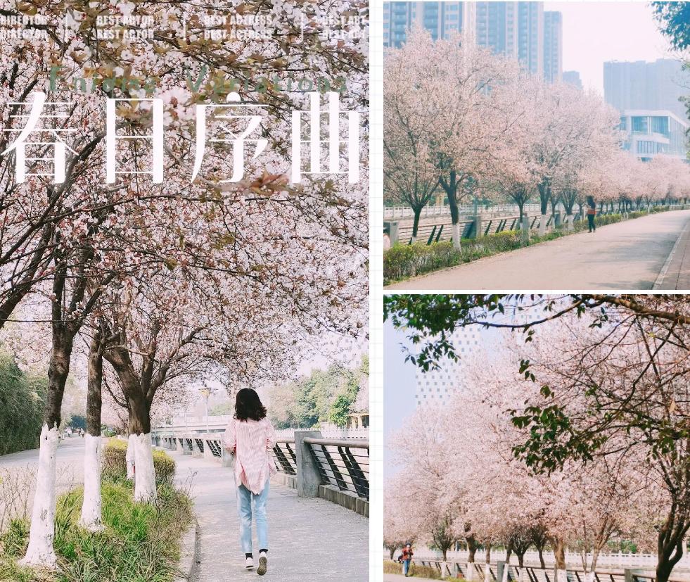 成都有特色的老街,成都最酷的老街