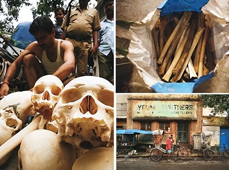 印度的人骨交易黑市,比缅甸北部还要凶残的国家