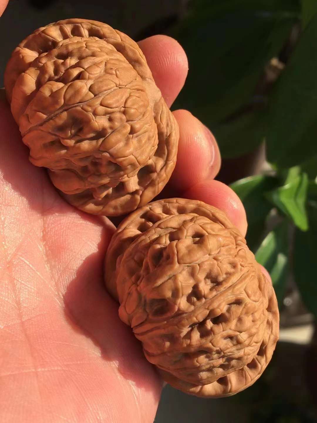 乾隆磨盘和山地磨盘区别对比,乾隆磨盘和普通磨盘哪个贵