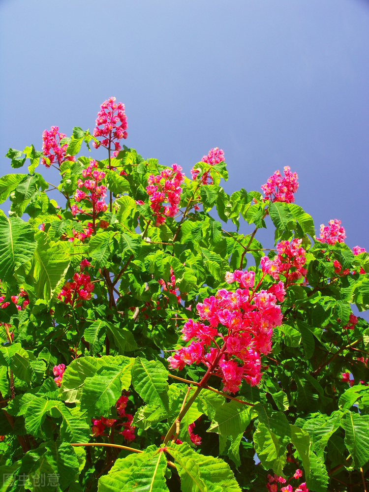 100个让自己变美的习惯,变美的29个习惯