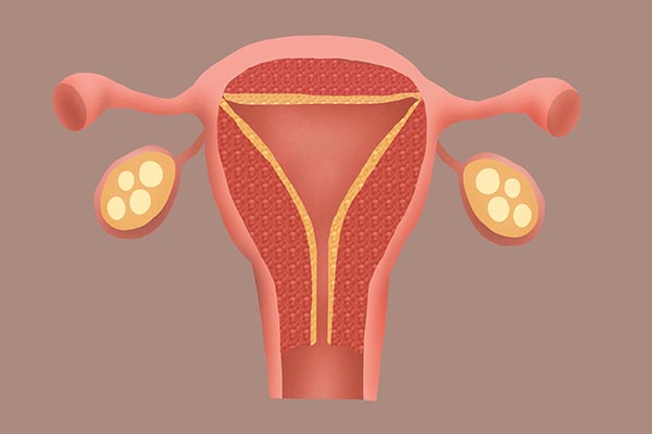 44岁月经不来是不是更年期到了,44岁月经不来怎么回事