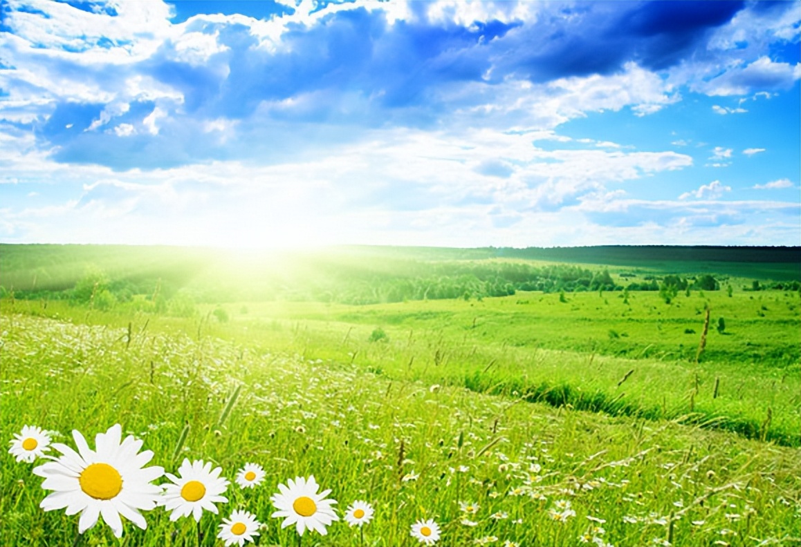 宋词里的春天是美到骨子里的春天,唐诗宋词里的春天朗诵稿4-6分钟