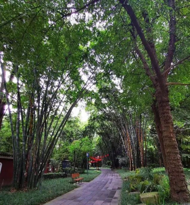 成都去北海自驾旅游攻略及花费,成都重庆九寨沟旅游攻略自由行