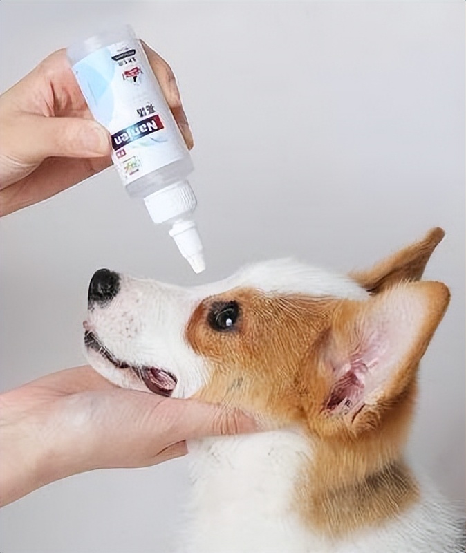 狗狗有泪痕应该怎么去除,狗狗有泪痕应该怎么处理