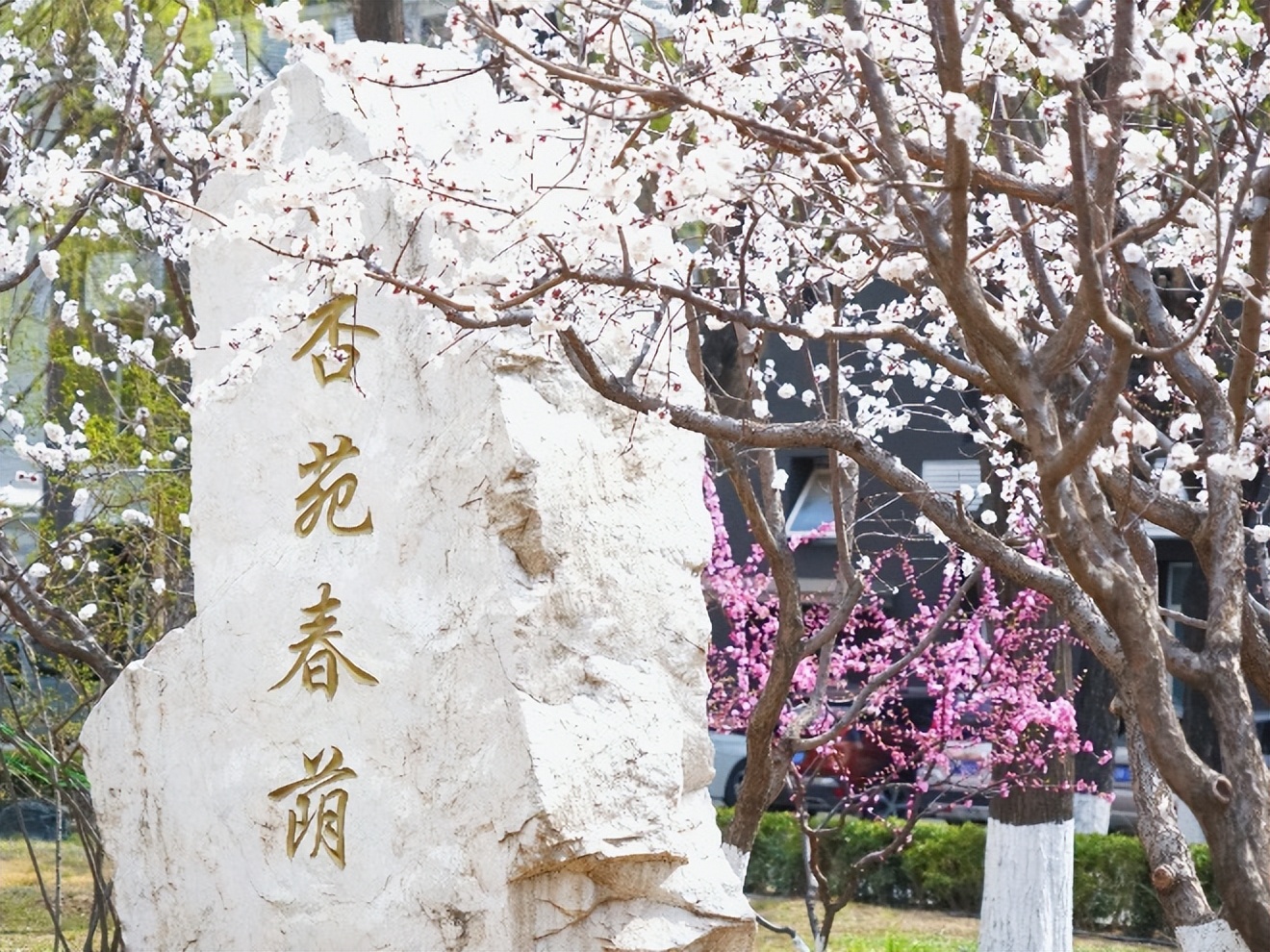 过敏季来袭！不怕，校园花粉地图帮你躲避