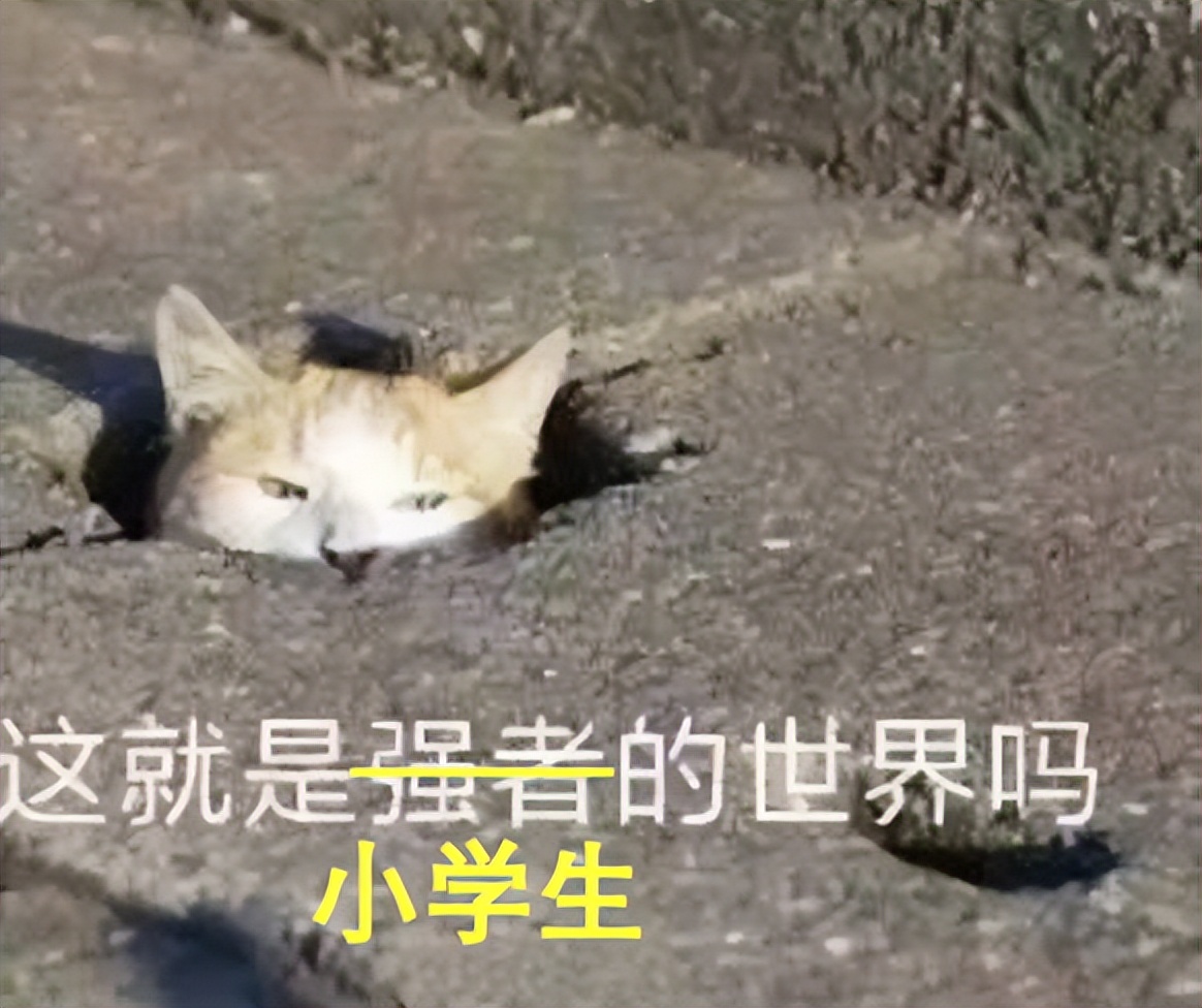 北京小学生简历吊打大学生?深扒20多个奖项后,我被卷哭了....