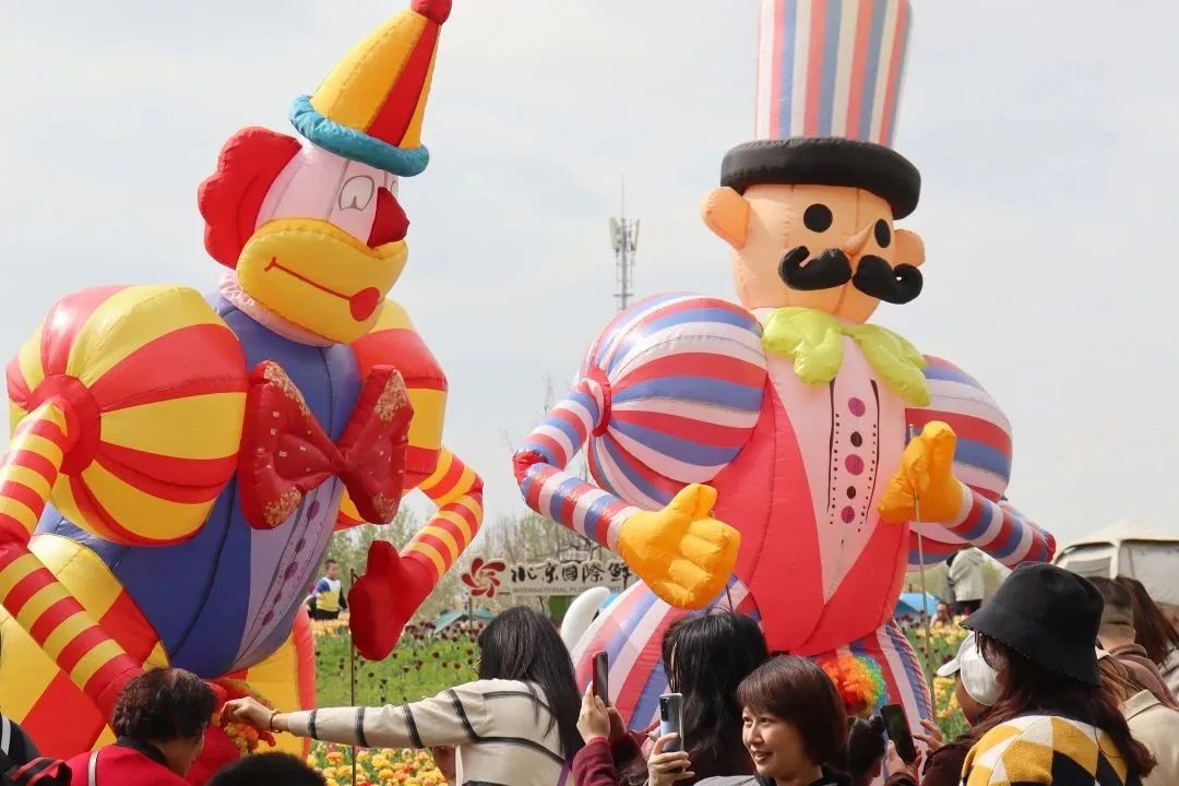 顺义鲜花港郁金香最佳观赏期,北京国际鲜花港2024郁金香赏花季