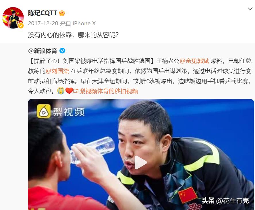 陈玘为什么力挺刘国梁,国乒对杀神陈玘的评价