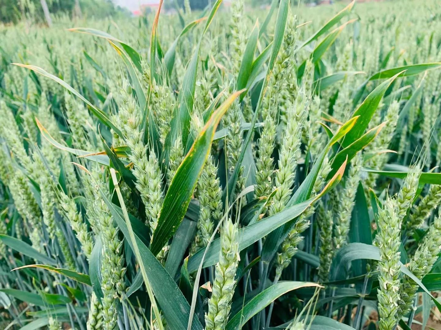 指缝太宽怎么补救,时光太瘦指缝太宽