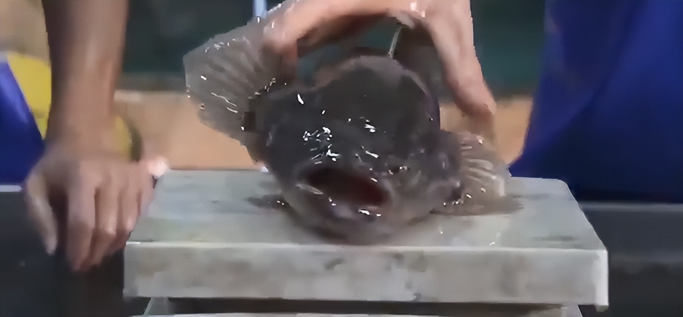 农村大叔用火养鱼年入千万,江西大叔深山养鱼一年收入几百万