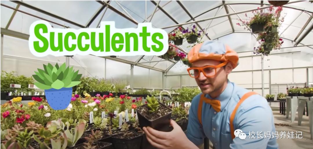 关于春天种植的英文儿歌,英文种植儿歌