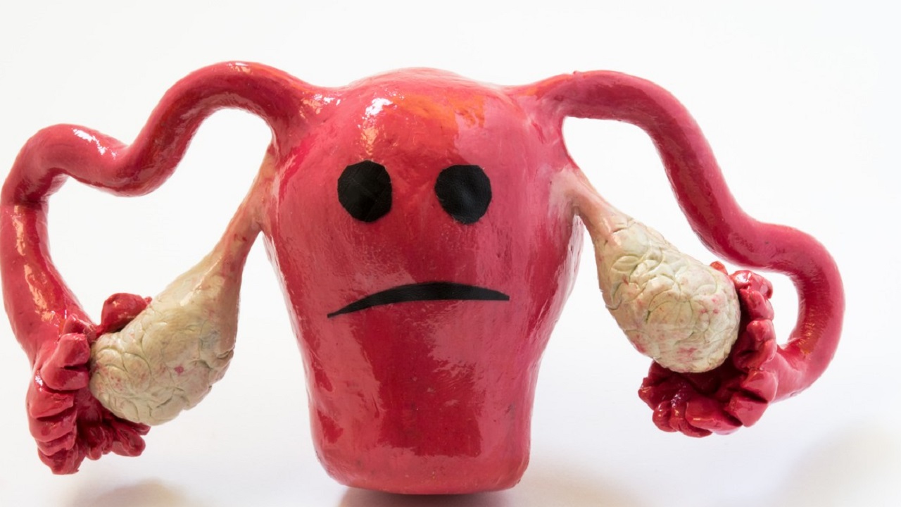 为啥医生会建议做宫腔镜检查,没有生育建议做宫腔镜吗