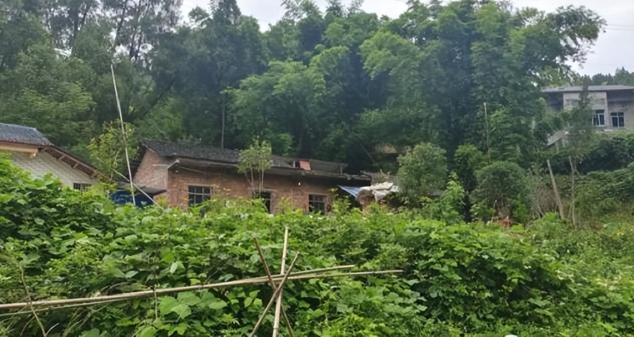 高考状元家境贫困视频,高考状元家庭难出贵子