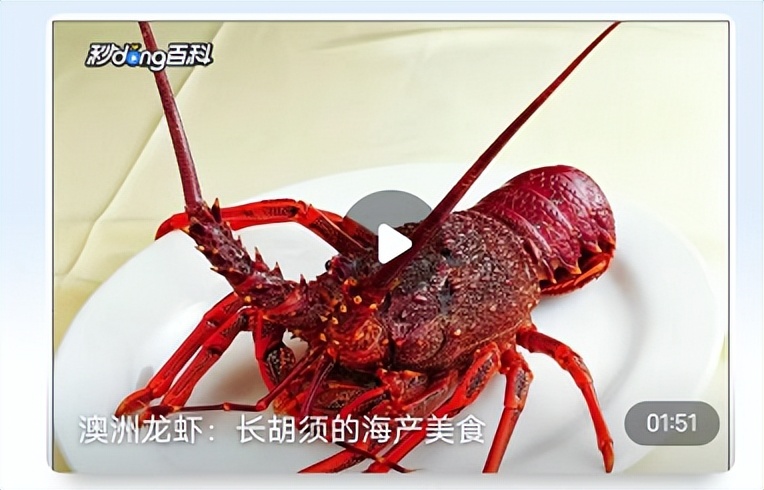 五一小长假，百万粉丝抖音主播邀你走进杭州大厦LSE超市