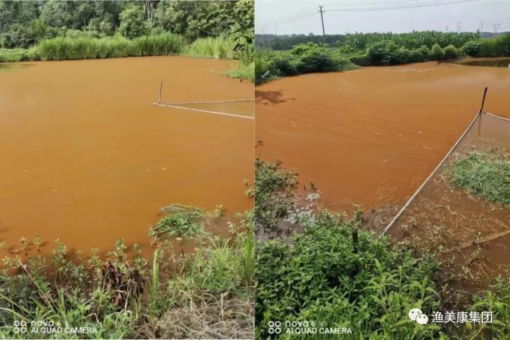 如何消除铁锈水,铁锈水最简单处理方法