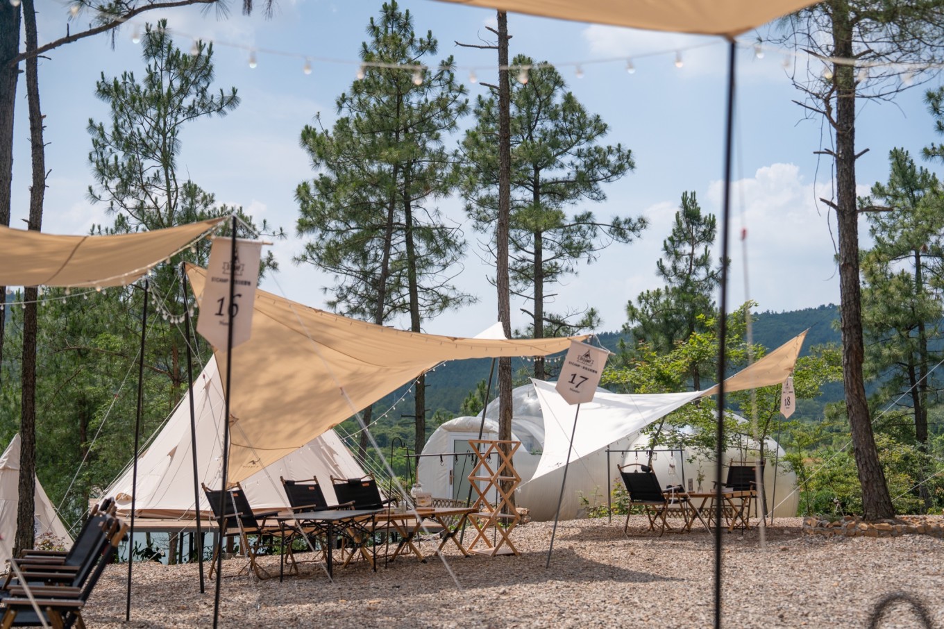 51camp安吉云松营地,帐篷营地森林音乐节