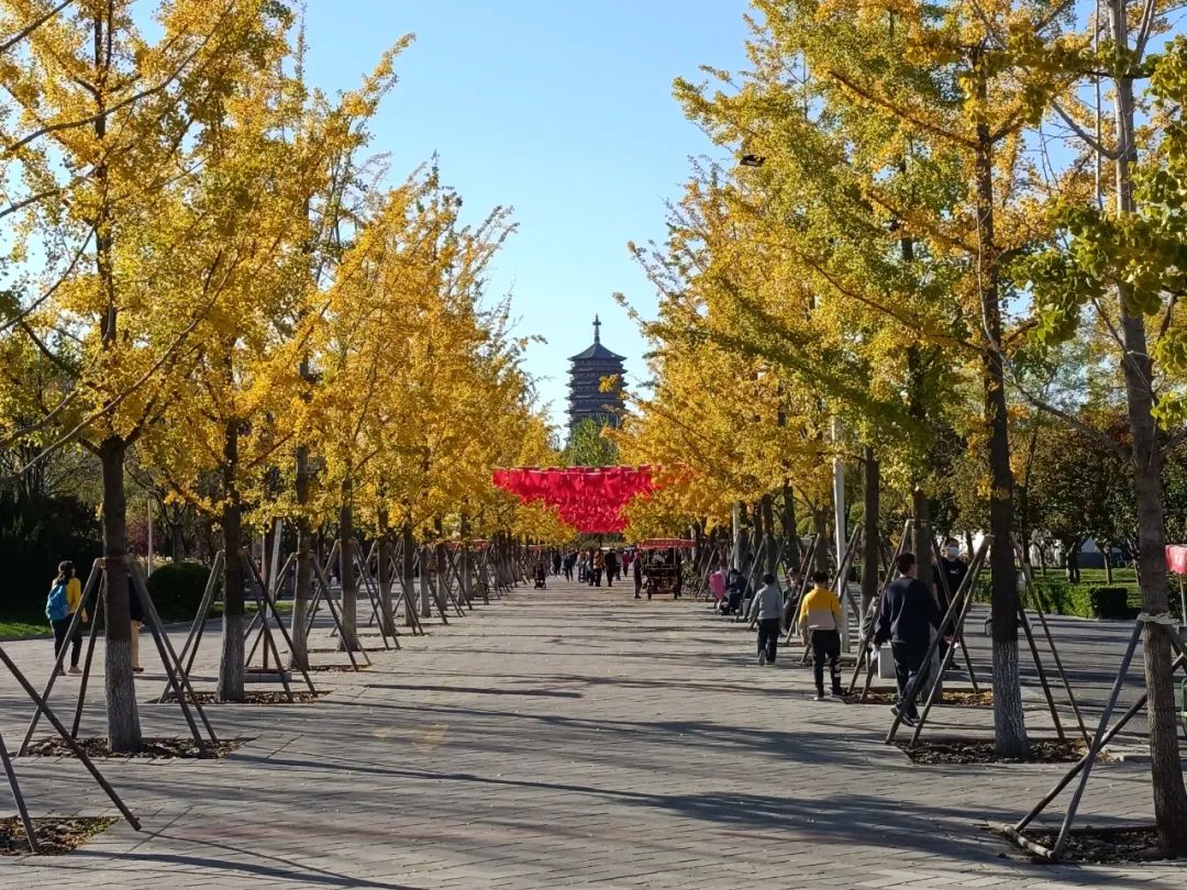 redminote114g拍照效果,redminote11拍照效果好吗