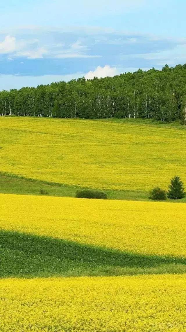 呼伦贝尔大草原高清素材,分享内蒙古草原天空照