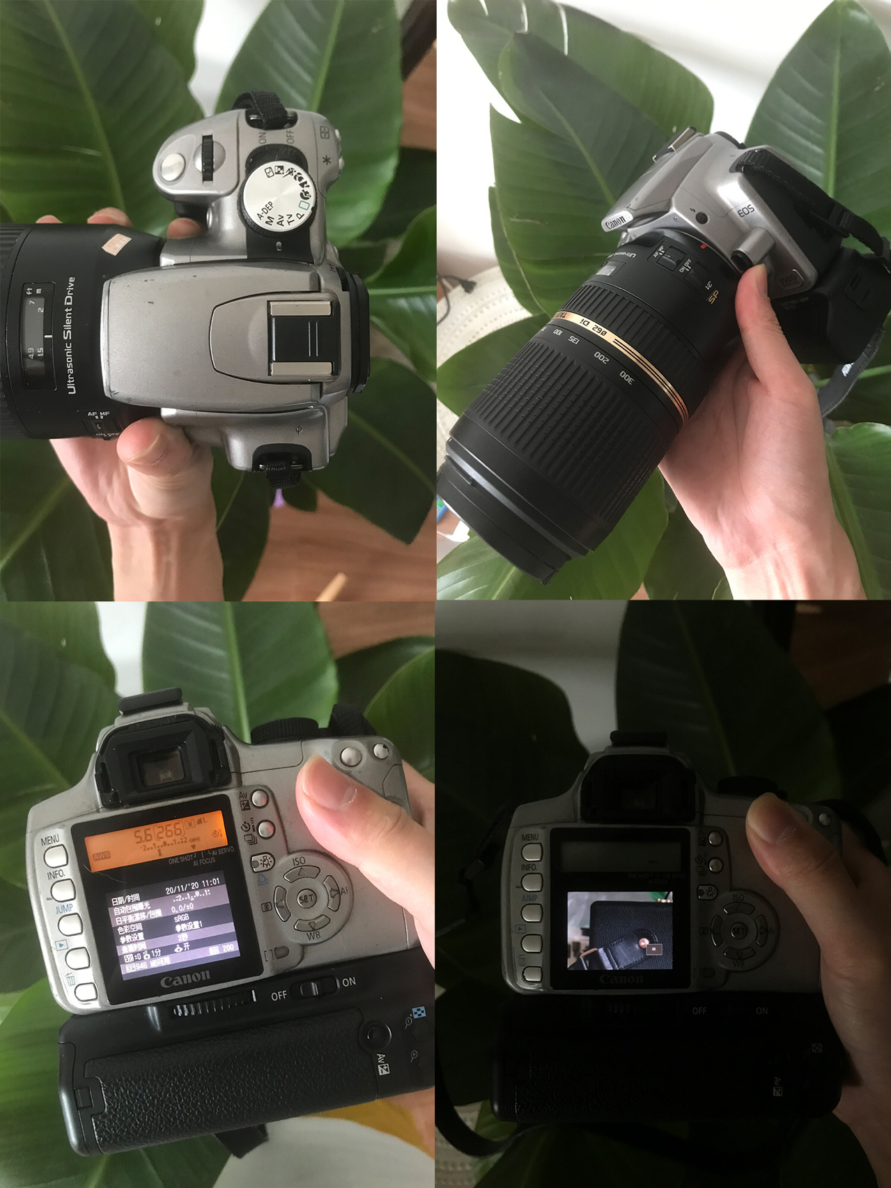 150左右的二手相机,佳能二手性价比高的单反相机