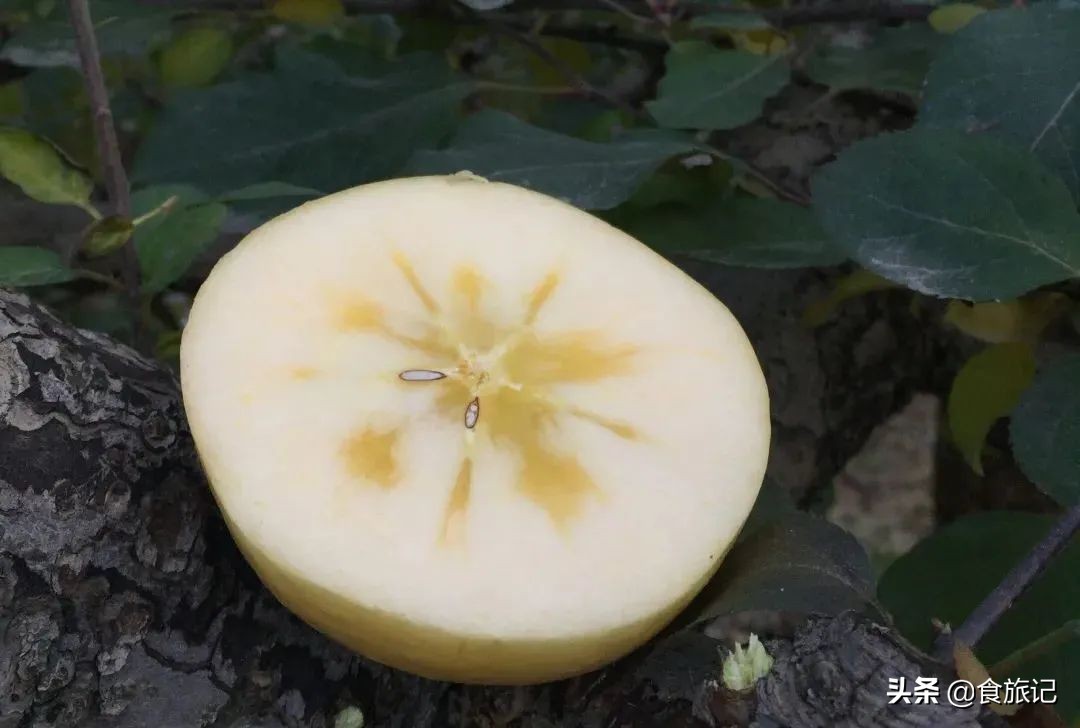 断货王！出口级威海金苹果，今日半价就能买1箱