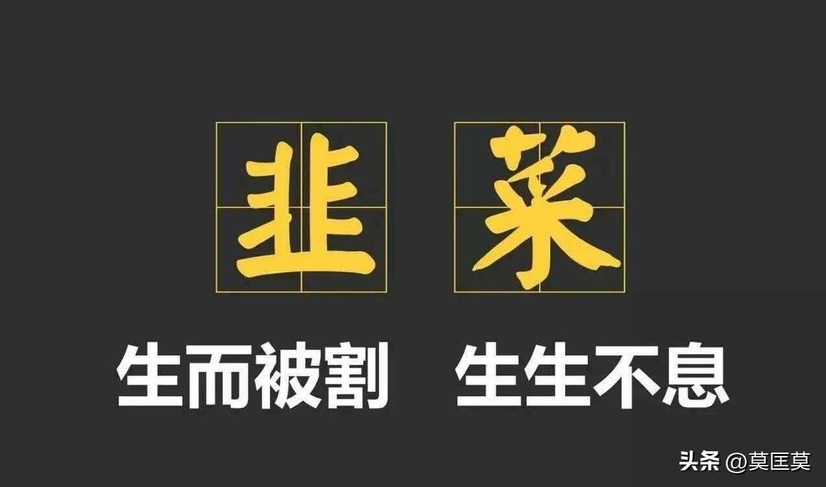 48亿，印度：这活儿我熟，小米：下次轻点儿