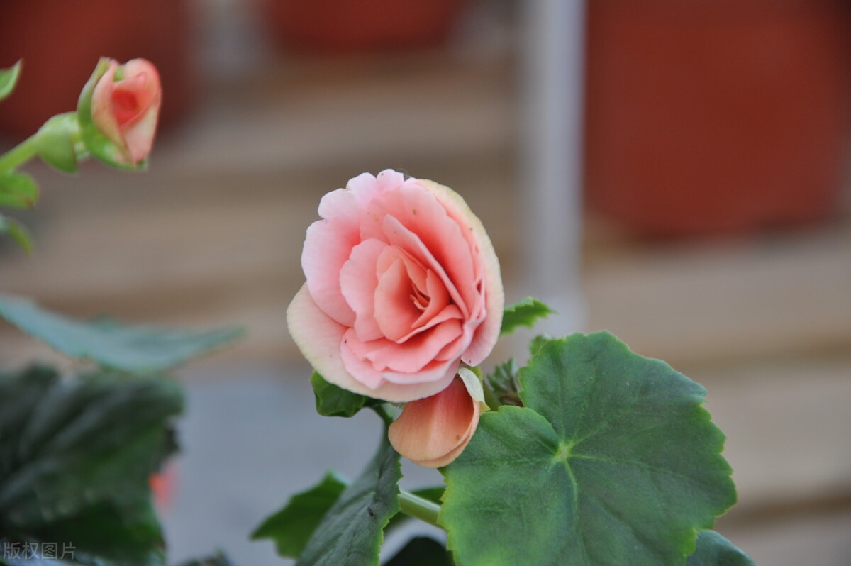 一个人是否爱你冷一下就知道了,男人爱不爱你其实是能感受出来的