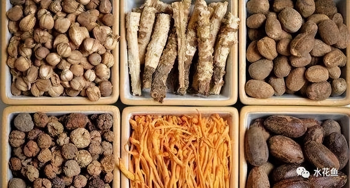 12种水产病害防治,你对水产动物病害的初步认识