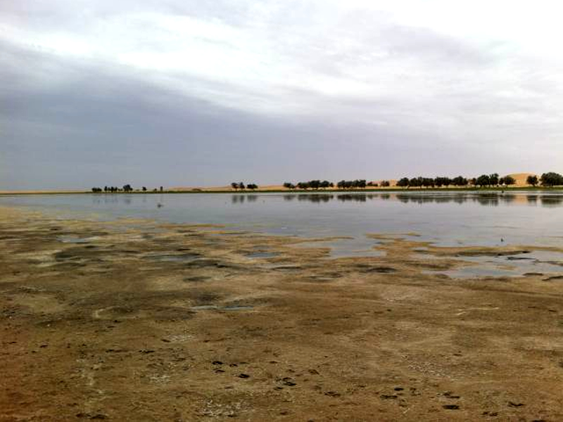 宁夏银川旅游攻略美食,宁夏银川旅游攻略