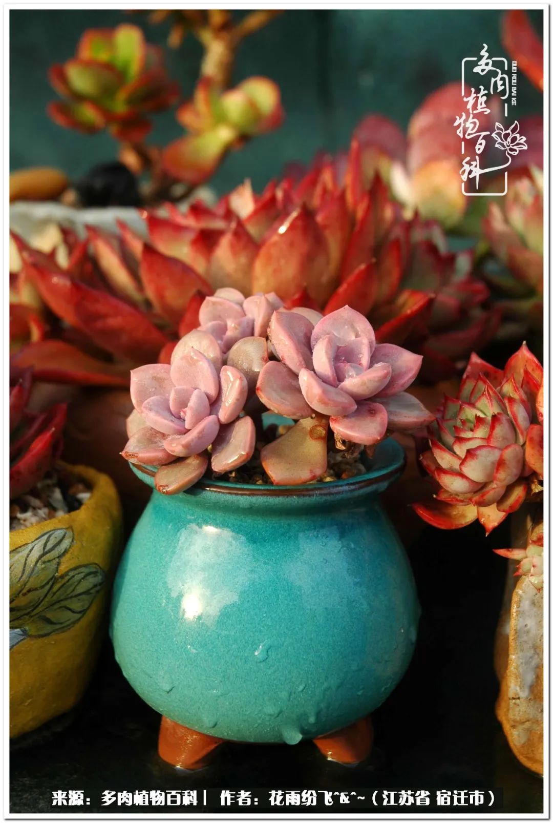 快乐的童年时光视频,回味快乐的童年美好的时光