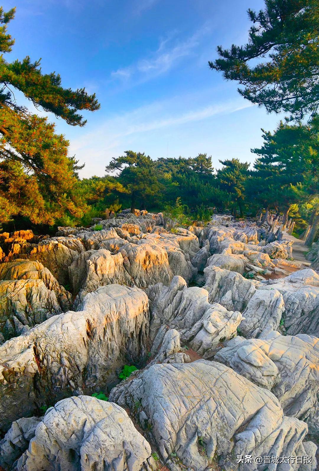 晋城的王莽岭,八百里太行王莽岭