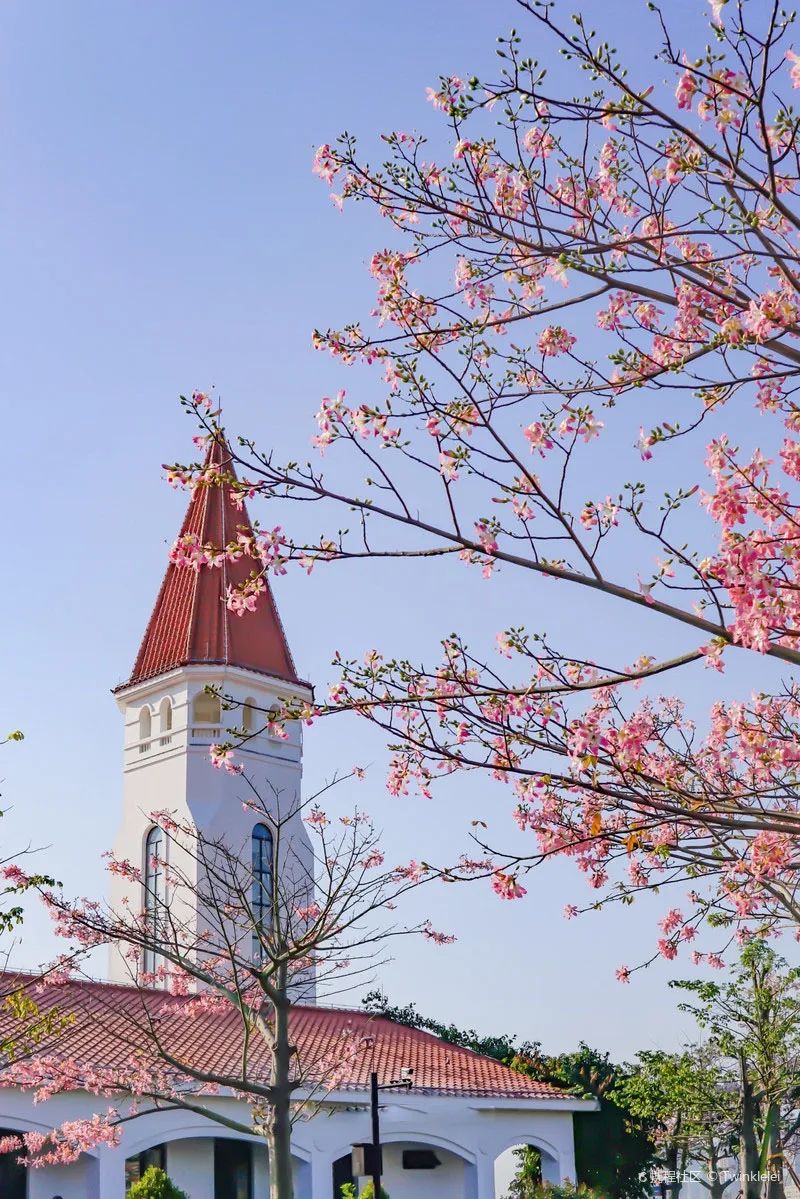 横琴岛封关了吗 (横琴岛封关什么意思)