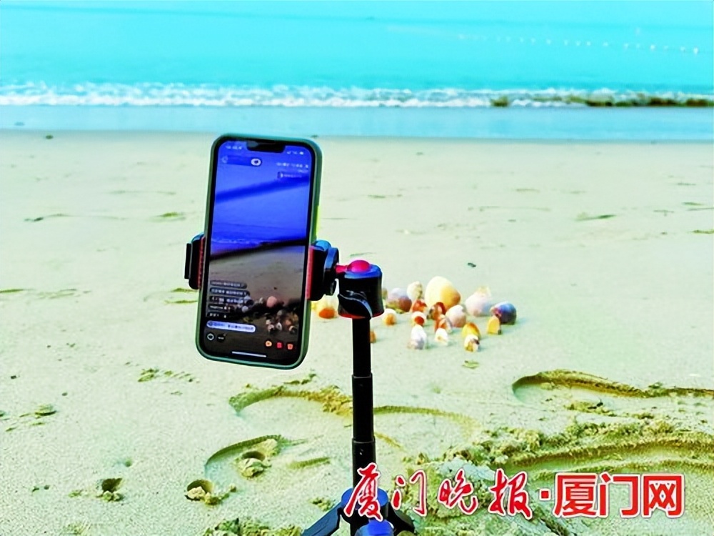 种草直播,种草直播现场