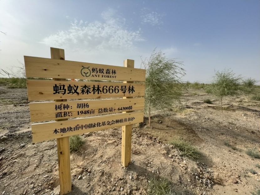 达沃斯论坛:蚂蚁集团等加入“全球植万亿棵树领军者倡议”