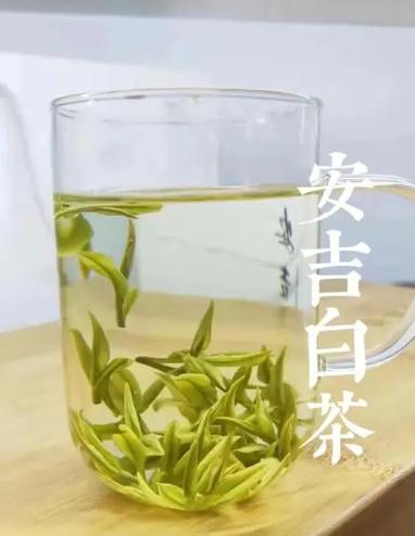 安吉递铺镇递铺村白茶,安吉白茶集团递铺旗舰店