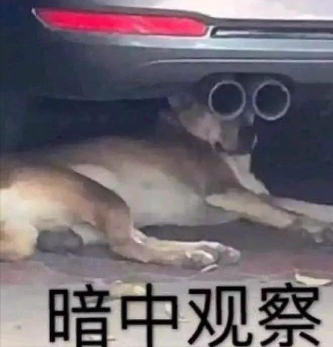 奢侈品赚穷人的钱,奢侈品赚的都是穷人的钱