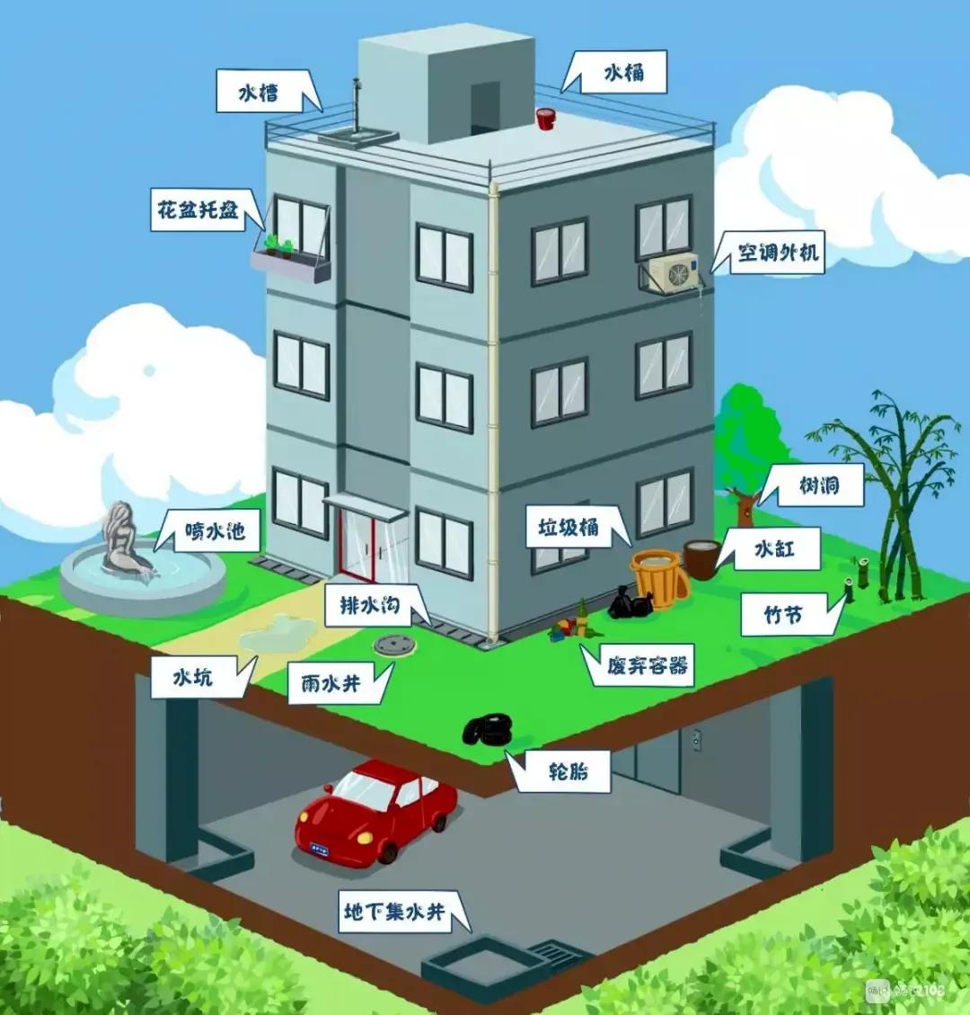 夏天蚊子太烦人教驱蚊的绝招,夏季来临前通过什么方法消灭蚊子