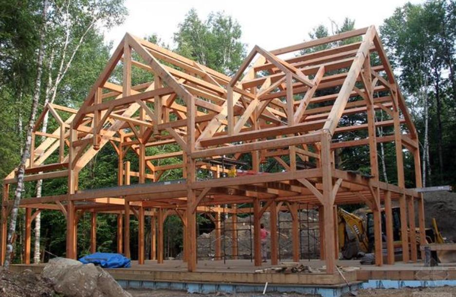 价值100万的金丝楠木为啥没人种植,金丝楠木种植三年价值多少