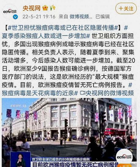 涨停41只股票,涨停王视频