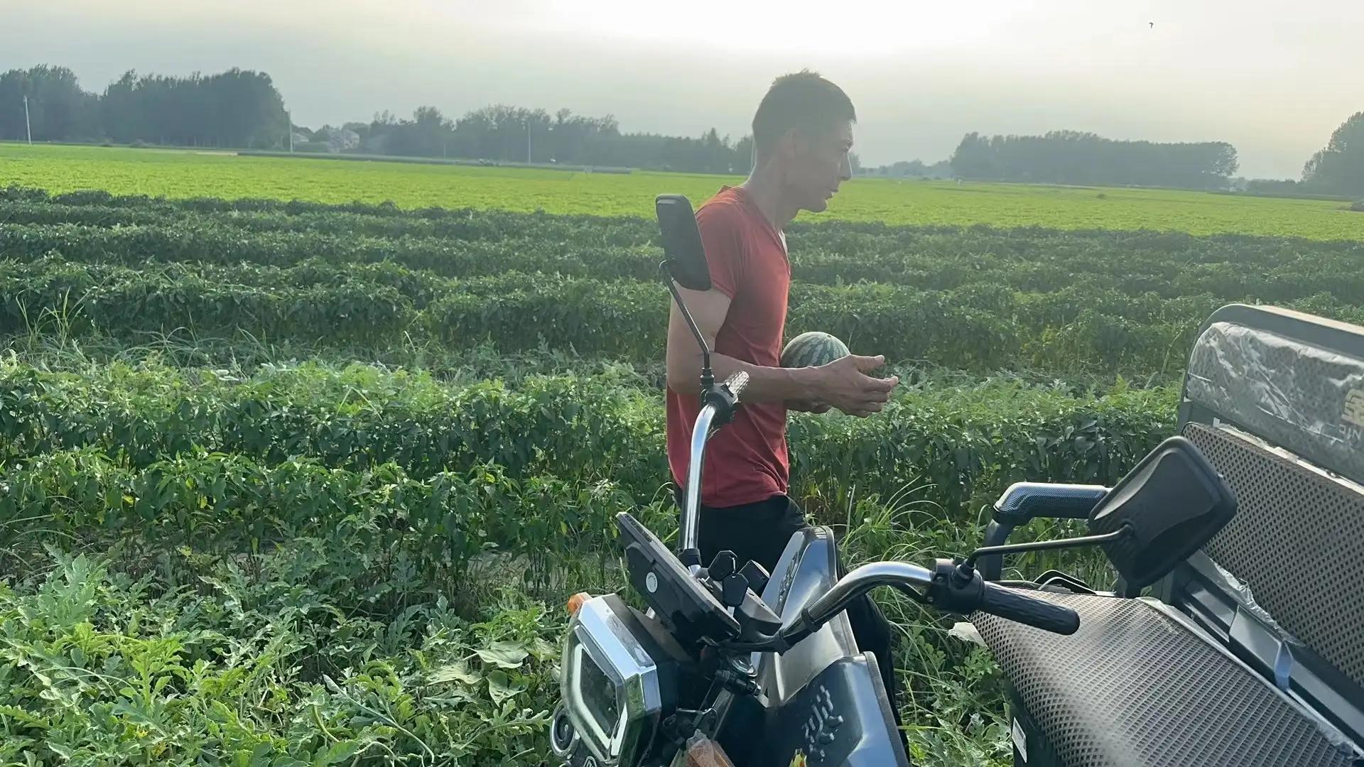 田园风光的古诗,田园风光纯音乐