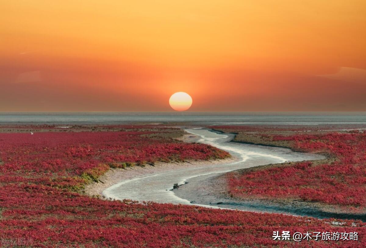盘锦红海滩游玩攻略一日游,盘锦红海滩风景区游玩攻略