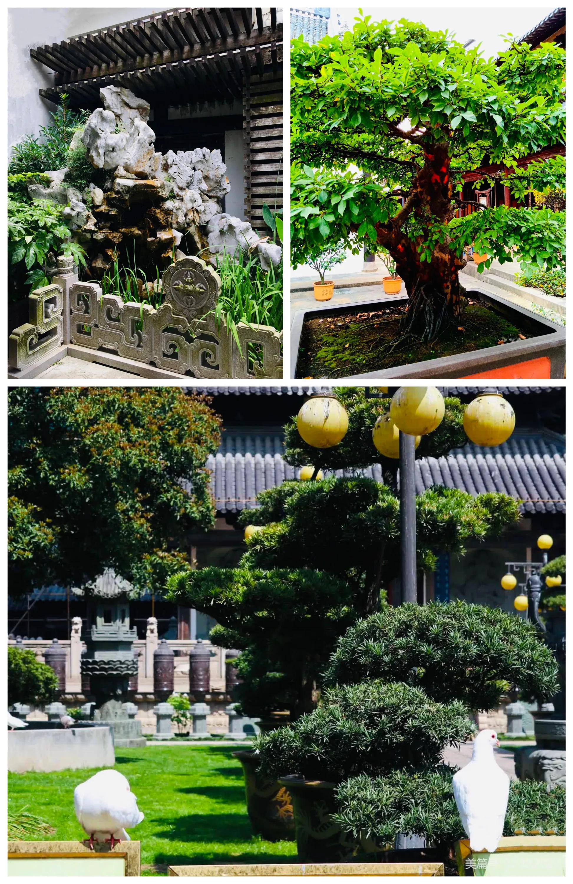 上海真如寺简介,上海真如寺方丈