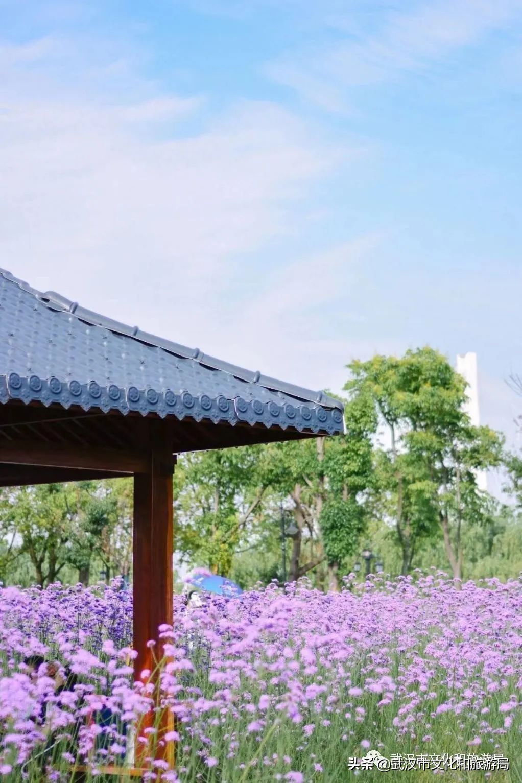 不出武汉旅游推荐,五一不出武汉三日游适合去哪里