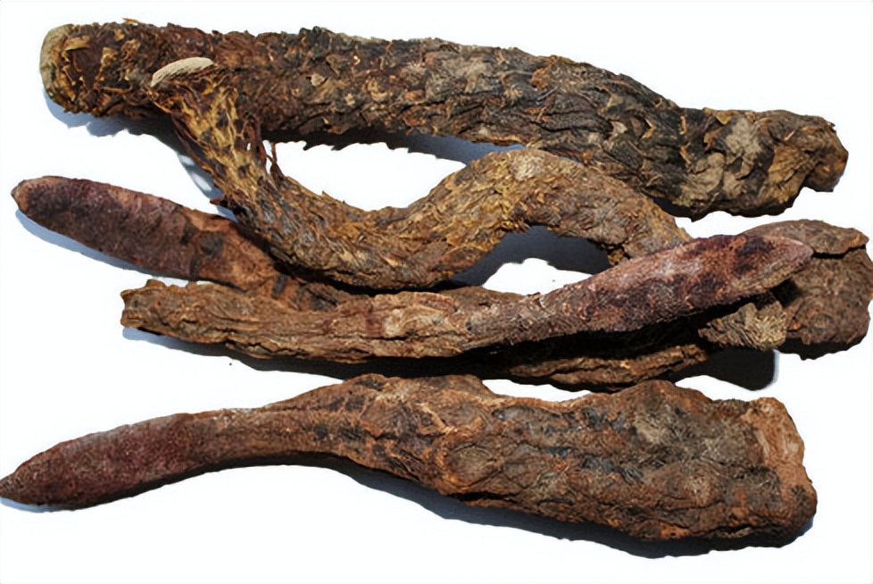 张掖土特产冬虫夏草,甘肃酒泉瓜州特产锁阳苁蓉