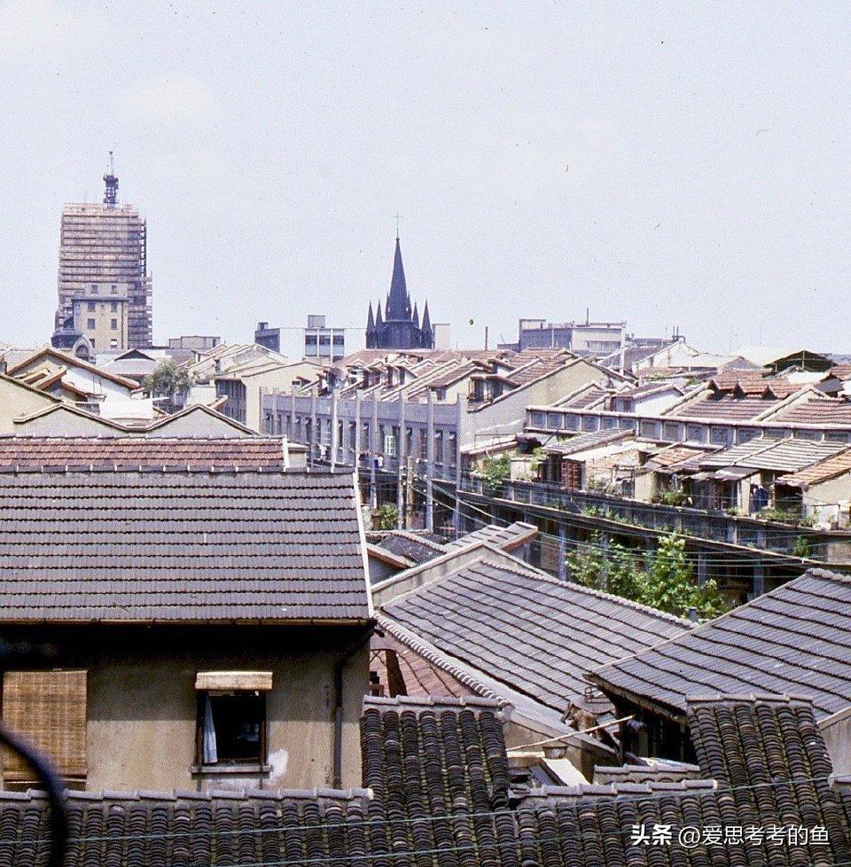 娓呭绉樺彶鍥剧墖澶у叏,娓呮湞瀹环绉樺彶鍥剧墖