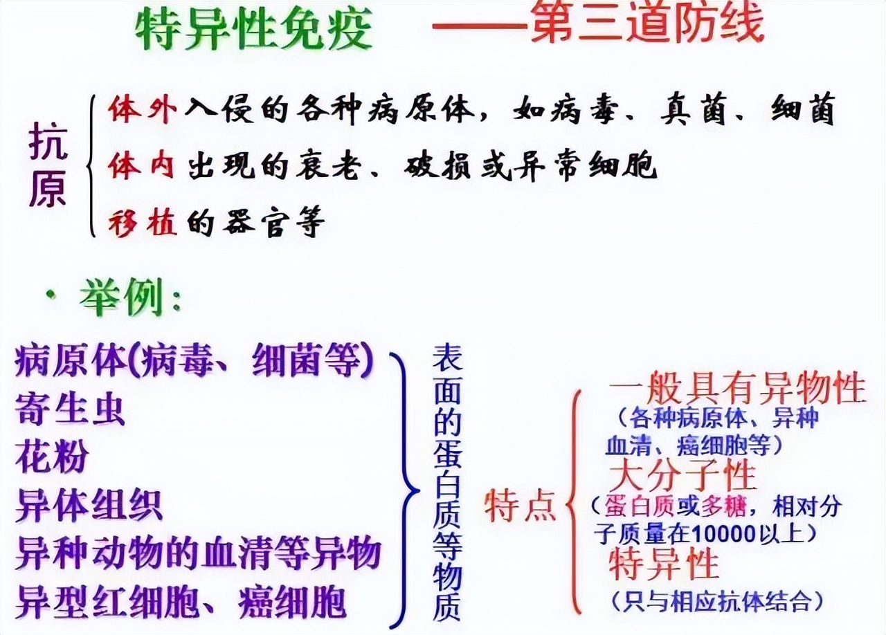 高中生物细胞免疫全知识点视频,生物高中知识点免疫调节