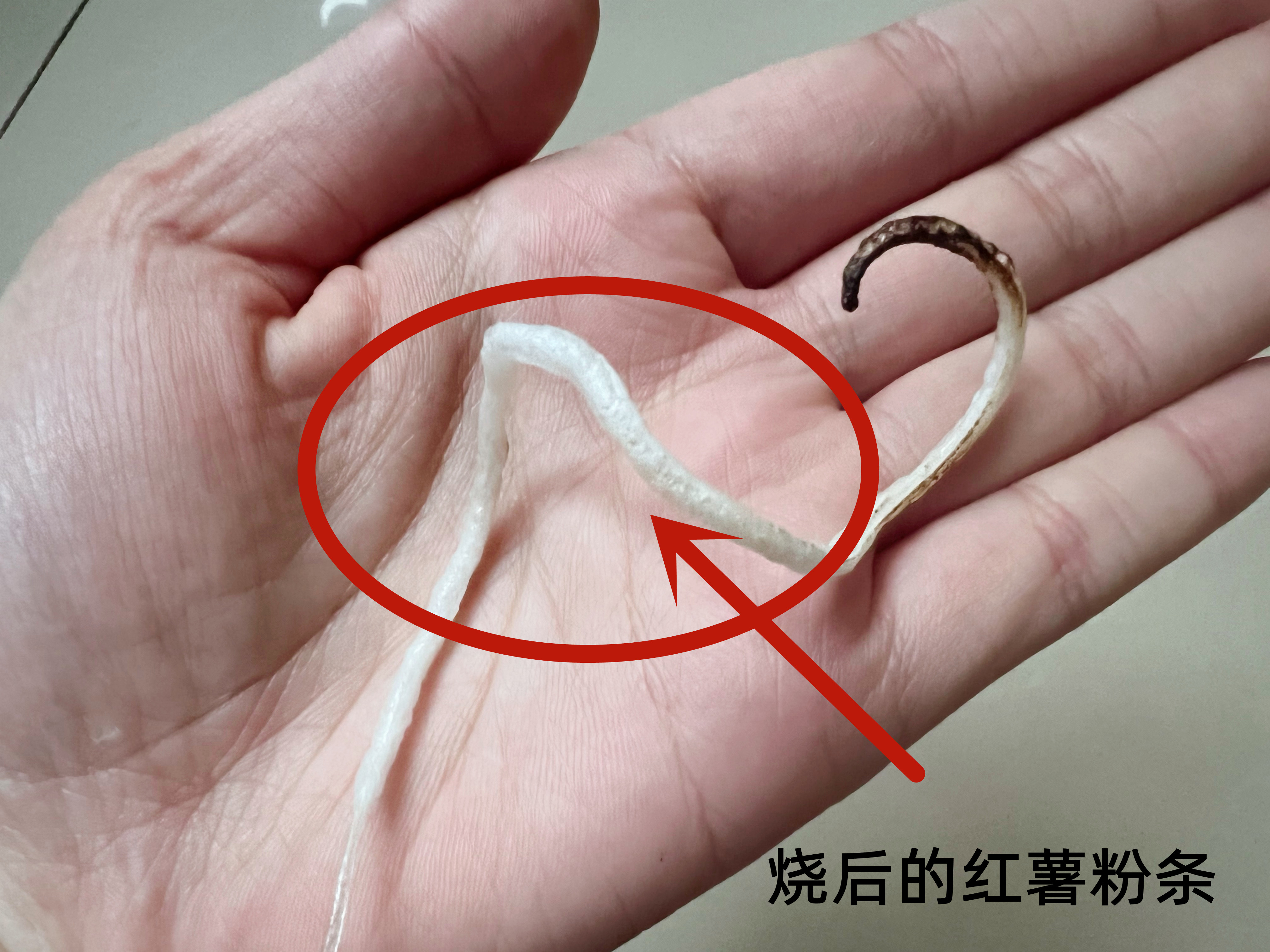 怎么鉴别粉条是纯红薯粉条,看看真假红薯粉条怎么辨别